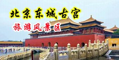 狗鸡巴插美女无毛’小骚逼视频完整版中国北京-东城古宫旅游风景区